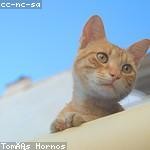 Abigale Bednar Profile Picture