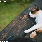 Terrence Denesik Profile Picture