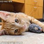 Oral Hartmann Profile Picture