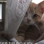 Makenzie Lehner Profile Picture