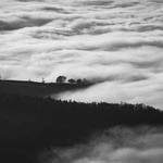 Kamryn Schneider Profile Picture