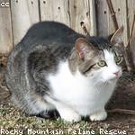 Cornell Wyman Profile Picture