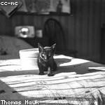 Sean Funk Profile Picture