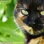 Lamar Bradtke Profile Picture